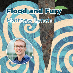 Matt Lynch - Flood and Fury