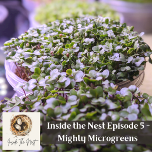 Inside the Nest Episode 5 - Mighty Microgreens!