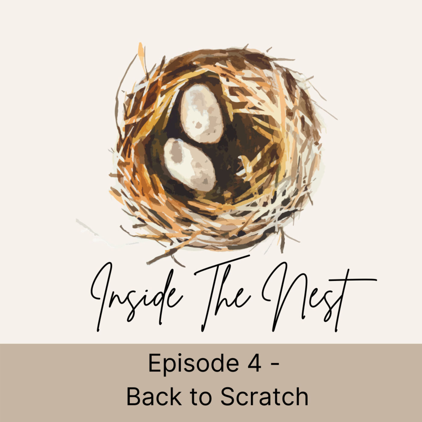 Inside the Nest Episode 4 - Back to Scratch Image