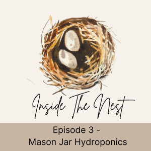 Inside the Nest Episode 3 - Mason Jar Hydroponics