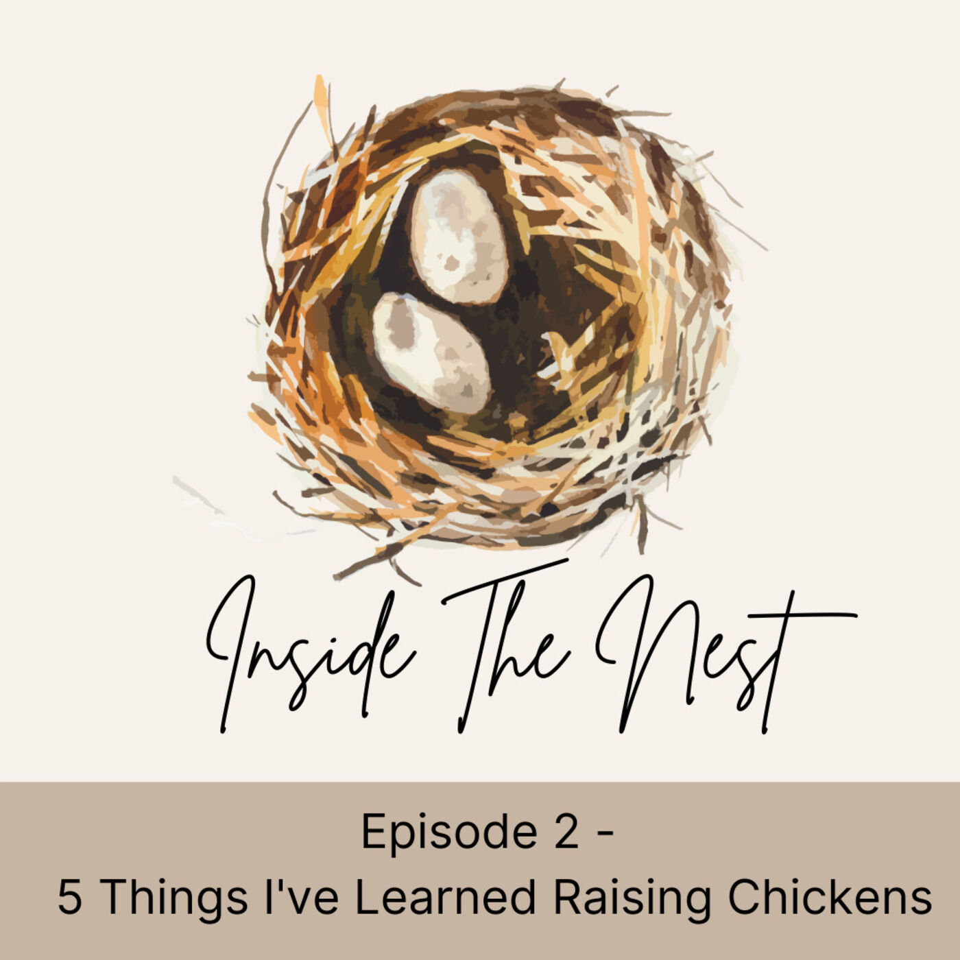 Inside the Nest Episode 2 - 5 Things I’ve Learned About Raising Chickens Image