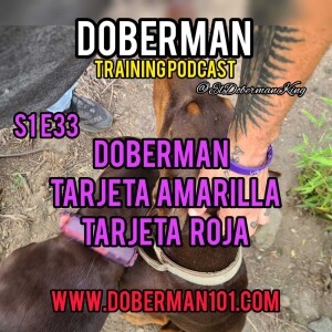 S1 E34 Doberman Tarjeta Amarilla, Tarjeta Roja
