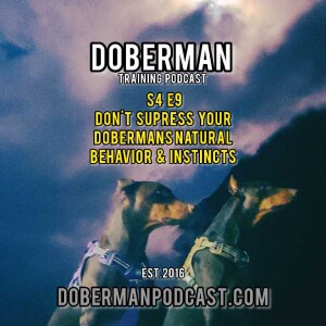 S4 E9 Don’t Supress your Dobermans Natural Behavior & Instincts