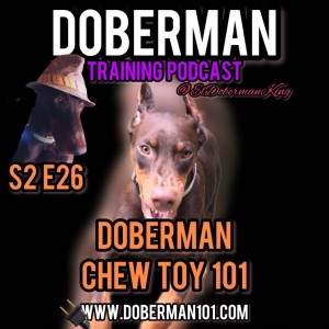 S2 E26 🦷 Doberman chew toy 101.