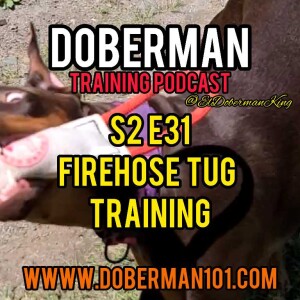 S2 E31 Firehose Tug Training 🚒