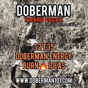 S2 E35 Doberman Energy Burn 🔥 Ideas
