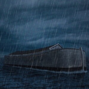 Don Hooser: Part 2  Conclusion Review of Noah’s Flood
