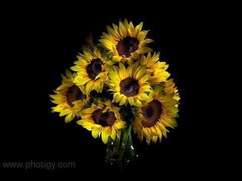 Light Brush Photography