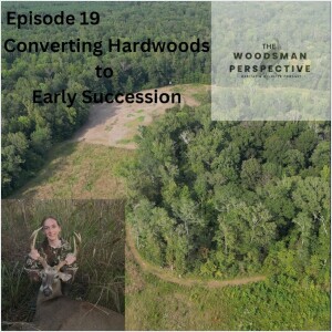 Episode 19 Converting Bottomland Hardwood to Early Succession