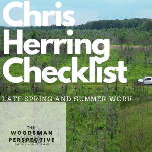 Episode 15 Chris Herring’s Summer checklist