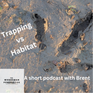 Ep 25 A short on Trapping and Habitat debate