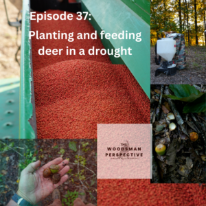 Episode 37 Planting and feeding deer in a drought