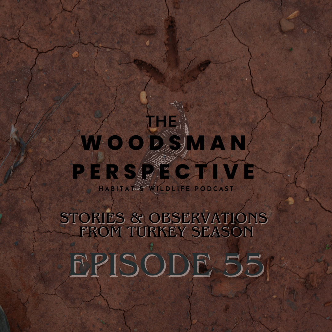 Episode 55 Stories and Observations from Turkey season