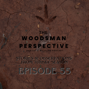Episode 55 Stories and Observations from Turkey season