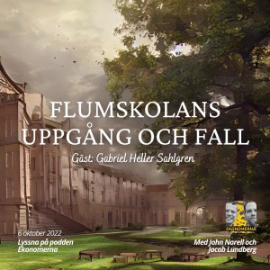 Flumskolans uppgång och fall