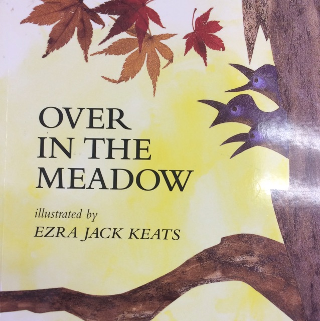 over in the meadow