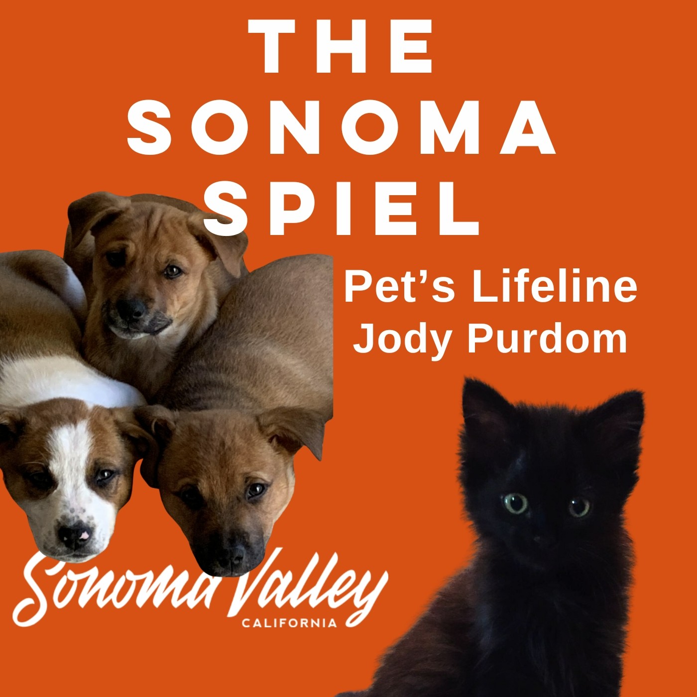 The Sonoma Spiel