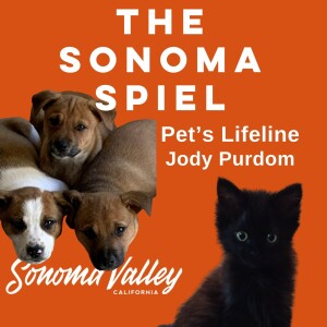 Adopt a pet in Sonoma? Yes! Kittens and puppies and more! Jody Purdom from Pet's Lifeline tells all