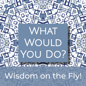 What Would You Do? Wisdom on the fly