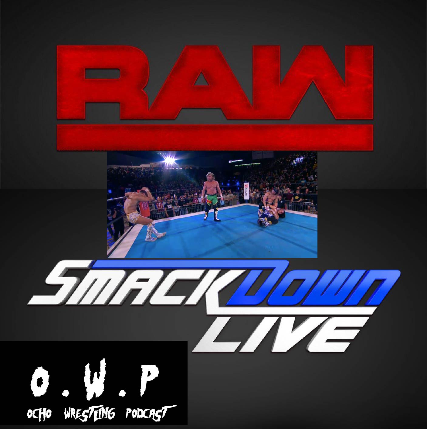 Ocho And Ortiz Wrestling Podcast