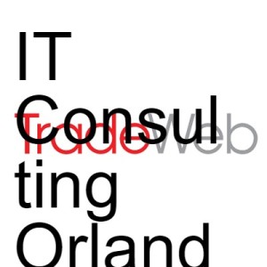 IT Consulting Orlando