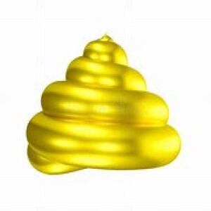 107 Polishing A Turd