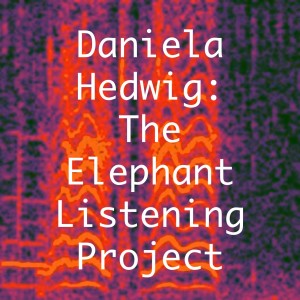 Daniela Hedwig: The Elephant Listening Project in Central Africa