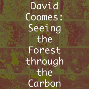 David Coomes: Seeing the Forest through the Carbon