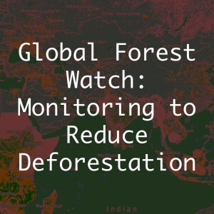 Global Forest Watch: Monitoring to Reduce Deforestation