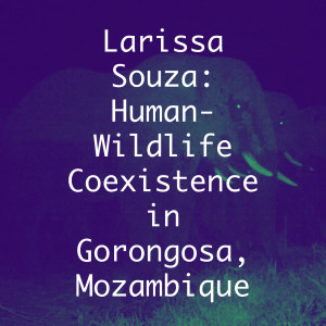 Larissa Souza: Human-Wildlife Coexistence in Gorongosa, Mozambique