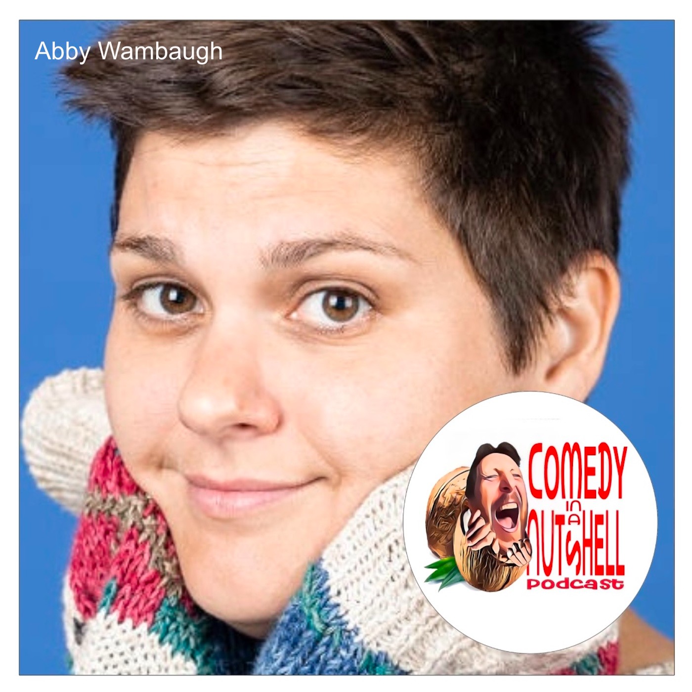 Comedy in a Nutshell