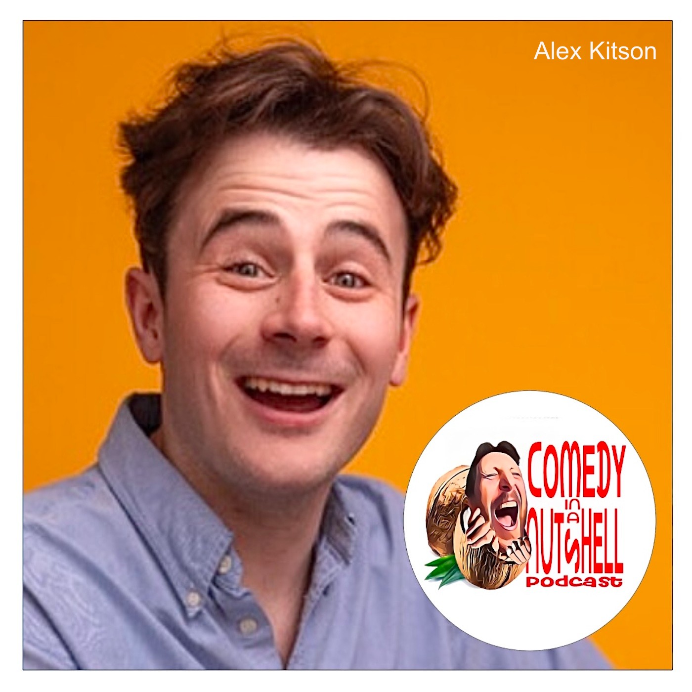 Comedy in a Nutshell