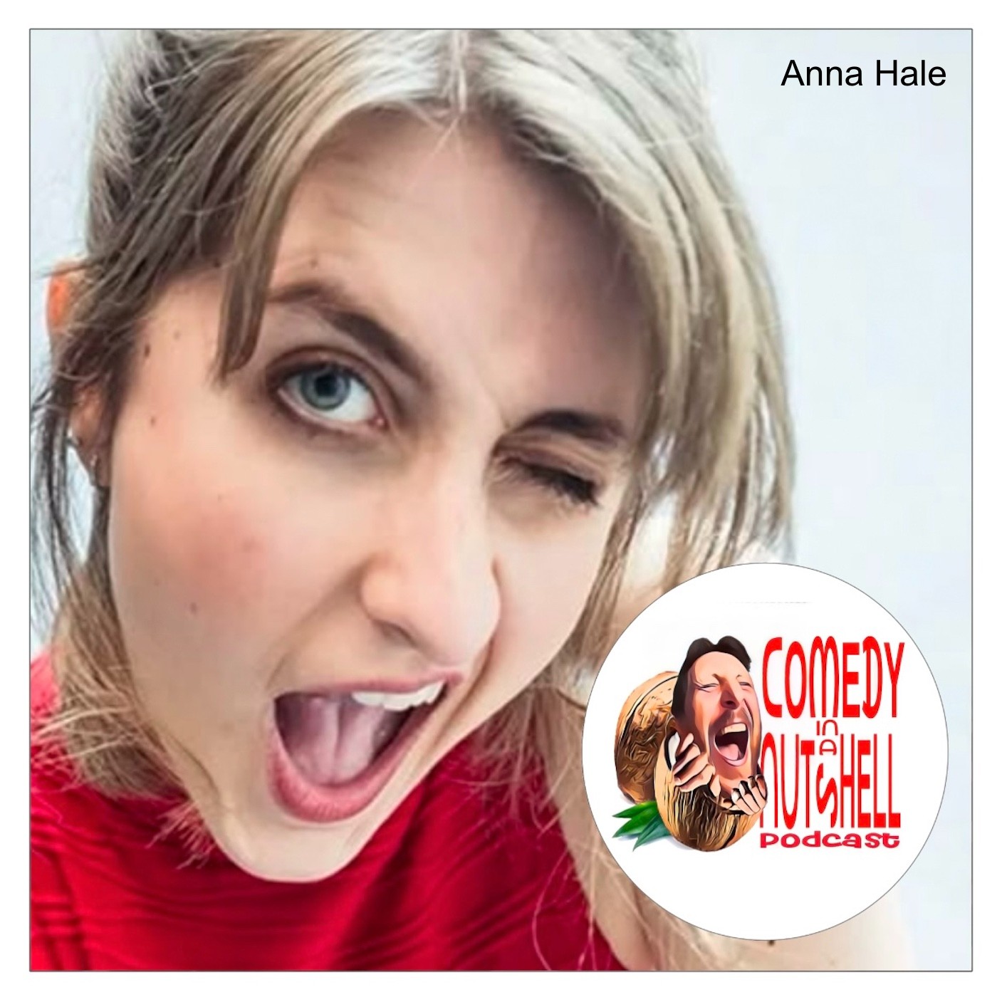 Comedy in a Nutshell