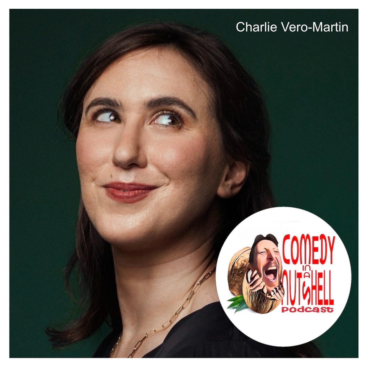 Comedy in a Nutshell