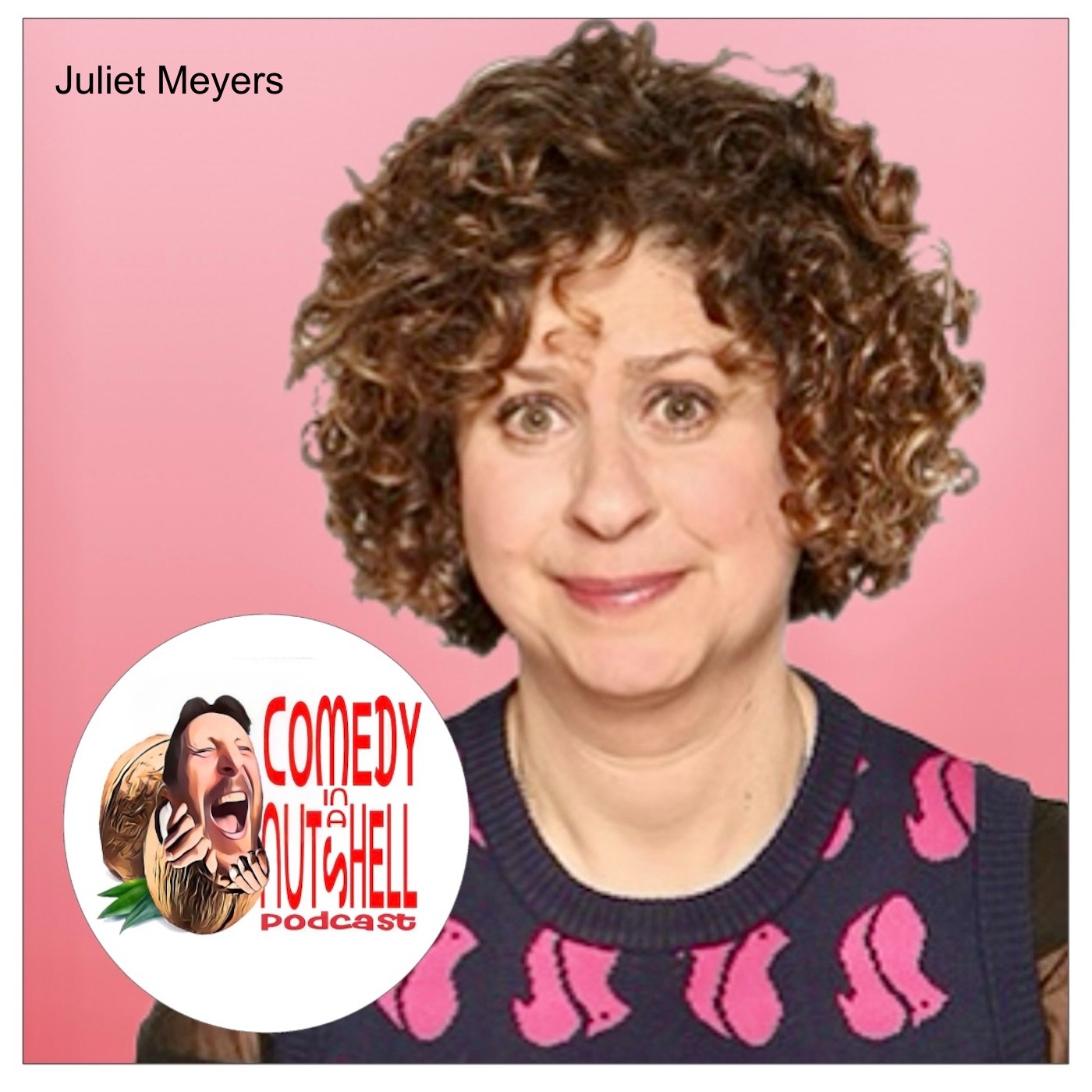 Comedy in a Nutshell