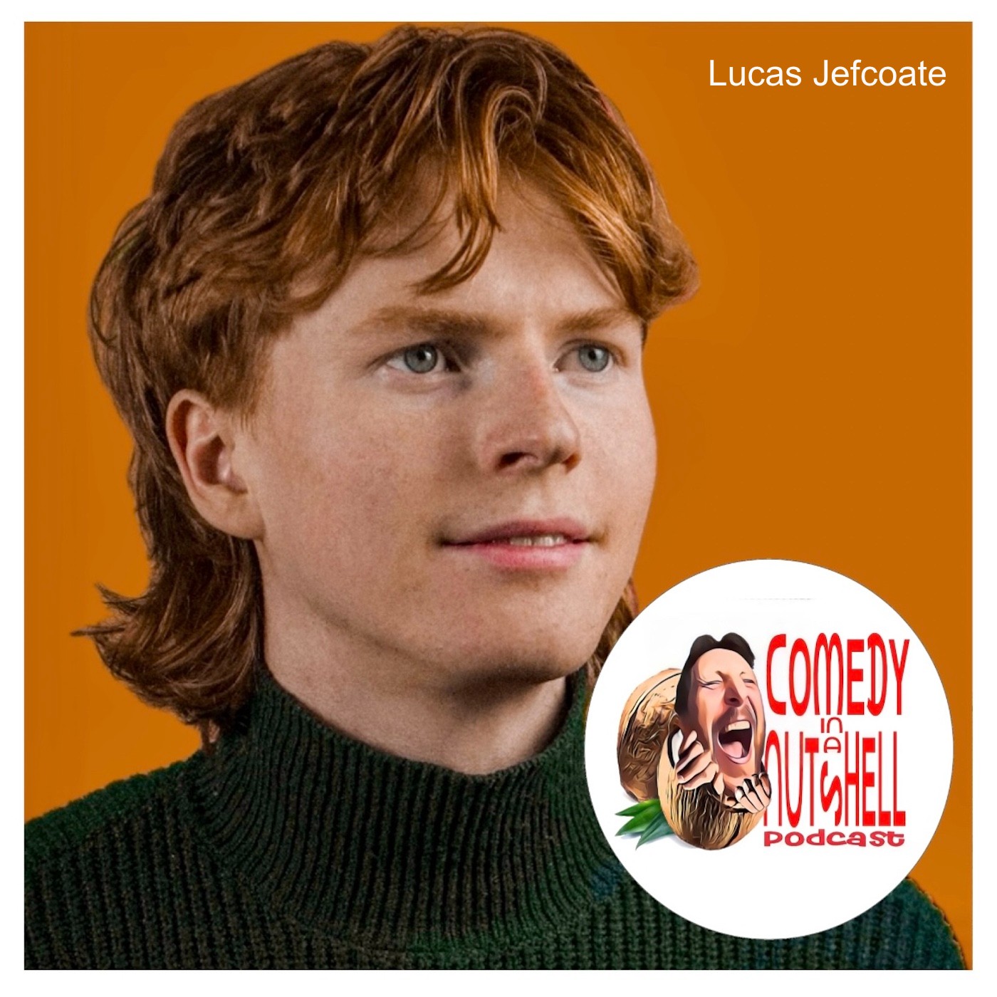 Comedy in a Nutshell