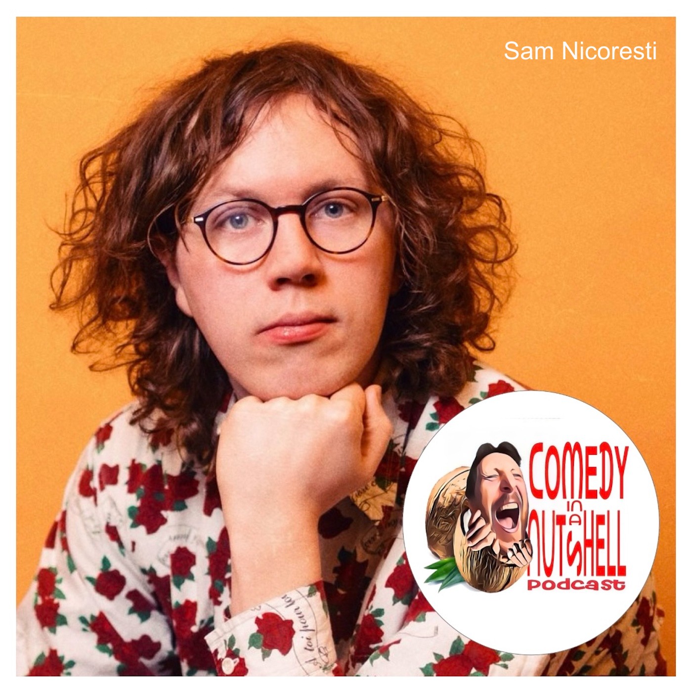 Comedy in a Nutshell