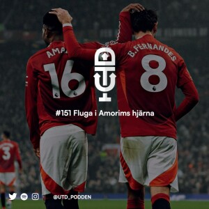 #151 ”Fluga i Amorims hjärna”