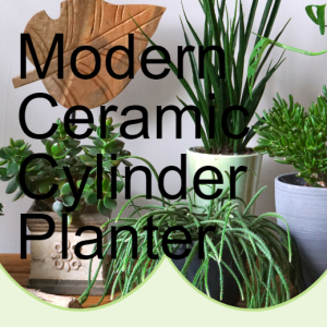 Modern Ceramic Cylinder Planter