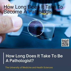 How Long Does It Take To Become A Pathologist?