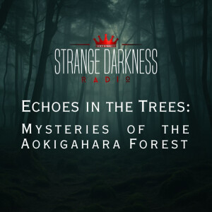 Echoes in the Trees: Mysteries Of The Aokigahara Forest