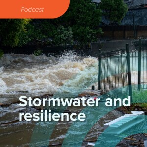 Stormwater and resilience
