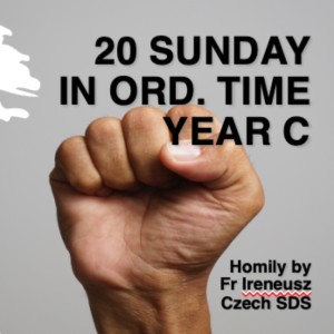 20th Sunday in Ord. Time C, Yr C, 14 August 2022