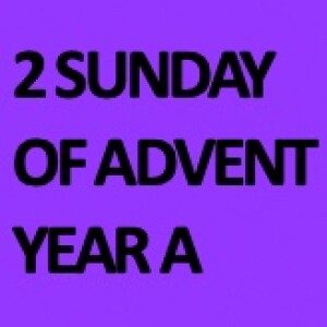 Homily for the 2nd Sunday of Advent - A