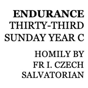 33rd Sunday in Ord. Time C, Yr C, 13 November 2022