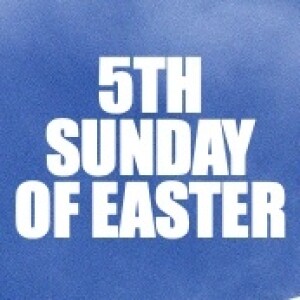 Homily for 5 Sunday of Easter A