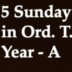 Homily for 5 Sunday in Ord. Time - A