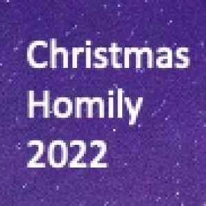 Homily for Christmas 2022 - A