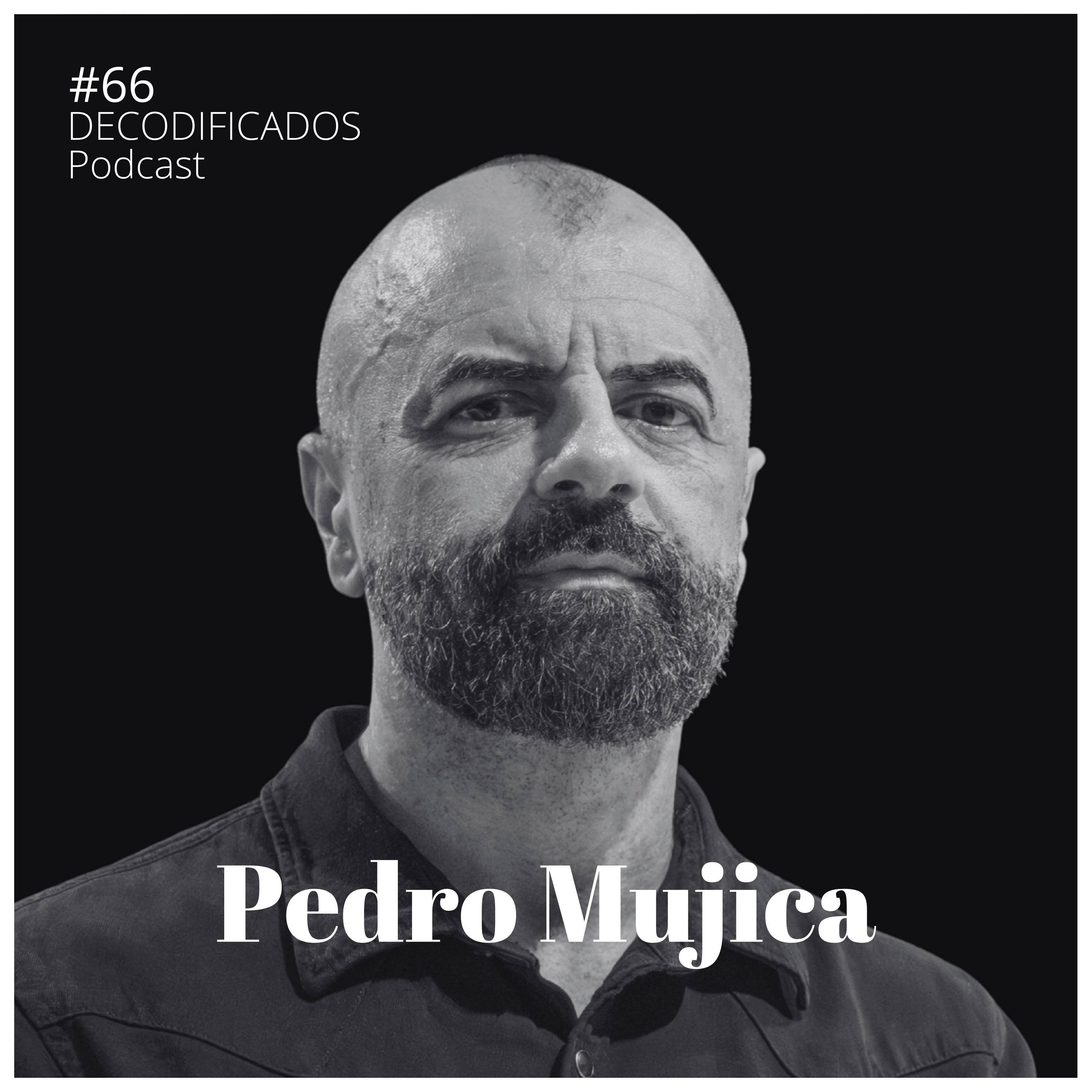 Decodificados