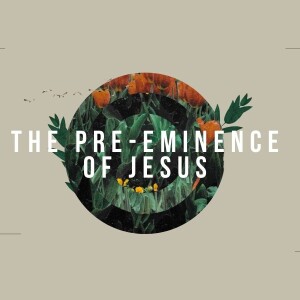 The Pre-eminence of Jesus Part 1 - Colossians 1:15-20 - Dave Holden